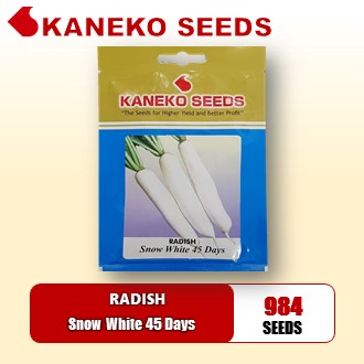 RADISH - Snow  White 45 Days