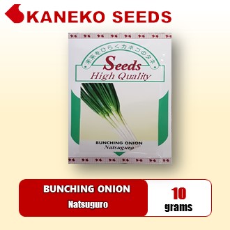 Spring Onion Seeds / Scallion / Bunching Onion -Natsuguro