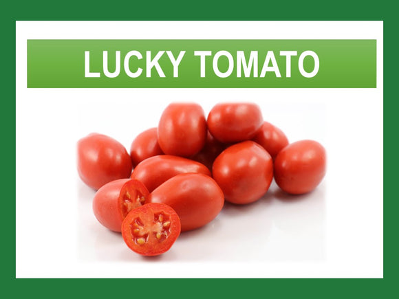 LUCKY TOMATO