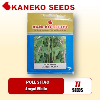 POLE SITAO / GREEN LONG BEAN - Arayat White