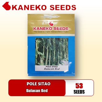 POLE SITAO / GREEN LONG BEAN - Bulacan Red