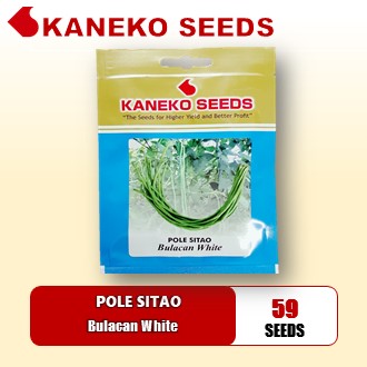 POLE SITAO / GREEN LONG BEAN - Bulacan White