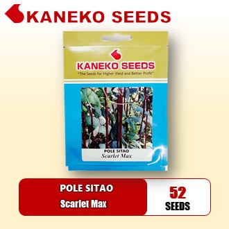 POLE SITAO / GREEN LONG BEAN - Scarlet Max