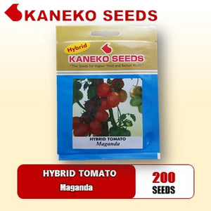 HYBRID TOMATO - Maganda