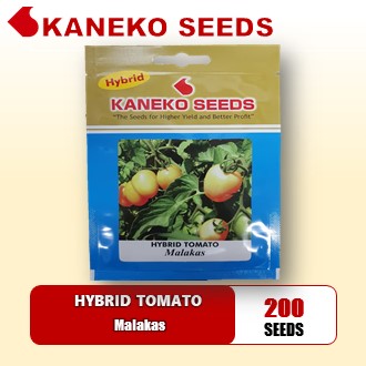 HYBRID TOMATO - Malakas