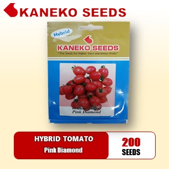 HYBRID TOMATO - Pink Diamond