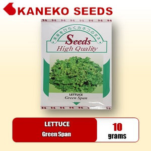 LETTUCE - Green Span