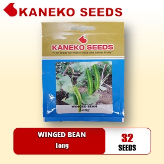 WINGED BEAN - Long