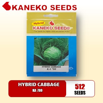 HYBRID  CABBAGE - KA 780