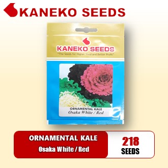 ORNAMENTAL KALE - Osaka White/Red