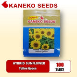 HYBRID SUNFLOWER   - Yellow Queen