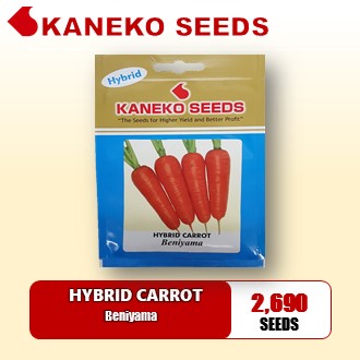 HYBRID CARROT - Beniyama