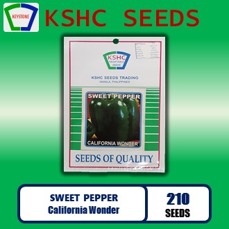 SWEET PEPPER - California Wonder