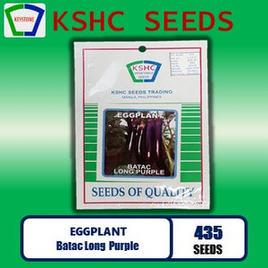 EGGPLANT - Batac Long Purple