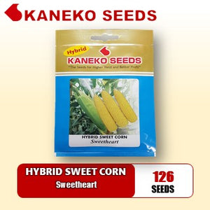 HYBRID SWEET  CORN - Sweetheart