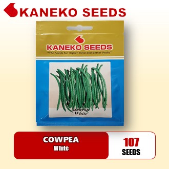 COWPEA - White