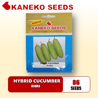 HYBRID CUCUMBER - Asuka