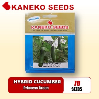 HYBRID CUCUMBER - Princess Green