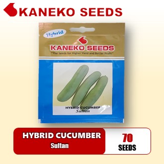 HYBRID CUCUMBER - Sultan