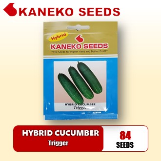 HYBRID CUCUMBER - Trigger