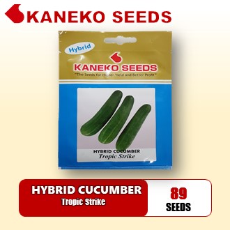 HYBRID CUCUMBER - Tropic Strike