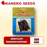 EGGPLANT - Dumaguete Long Purple