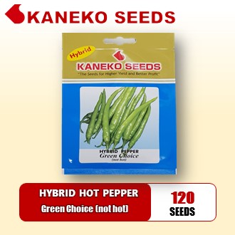 HYBRID HOT  PEPPER - Green Choice (not hot)