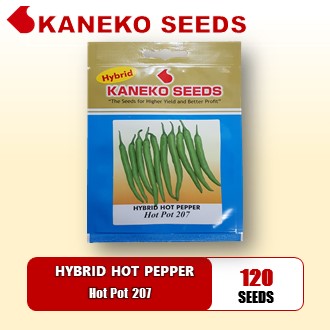 HYBRID  HOT PEPPER - Hot Pot 207