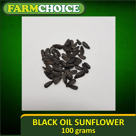 Sun Flower Black Oil Seeds (OPV) - 100g