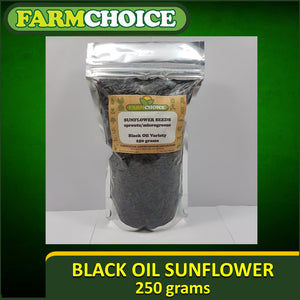 Sun Flower Seeds Black Oil Variety (OPV) 250grams