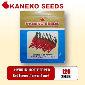 HYBRID HOT PEPPER - Red Finger (Taiwan Type)