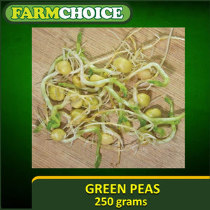 GREEN PEAS SEEDS