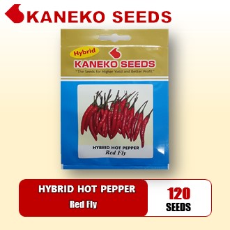 HYBRID HOT  PEPPER - Red Fly