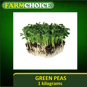 Green peas for sprouting and microgreens (1kg)