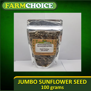 Jumbo Giant Sun Flower Seeds (OPV)