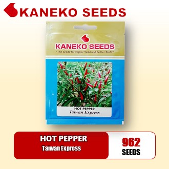 HOT PEPPER - Taiwan Express