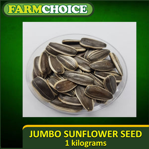 1Kg JUMBO GIANT SUNFLOWER SEEDS (OPV)