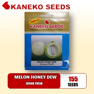 SWEET MELON - Honey Dew Green Flesh