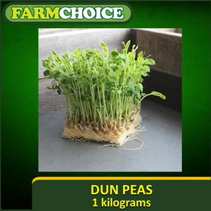 Dun Pea Seeds for sprouts and microgreens (1Kg)