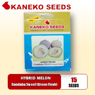 HYBRID SWEET MELON - Candaba Sweet (Green Flesh)