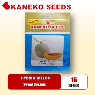 HYBRID SWEET MELON -  Sweet Dreams