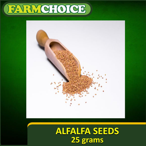 ALFALFA SPROUTING SEEDS (25grams)