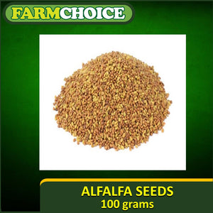 100grams ALFALFA Sprouting seeds and for microgreens Certified Organic