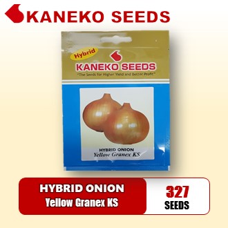 HYBRID ONION - Yellow Granex KS