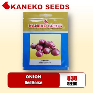 ONION - Red Horse