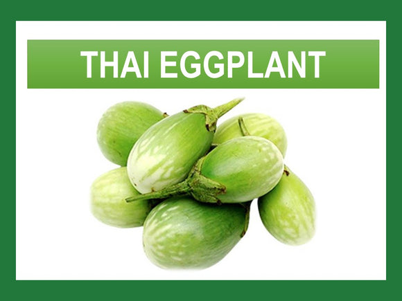 THAI EGGPLANT DWARF